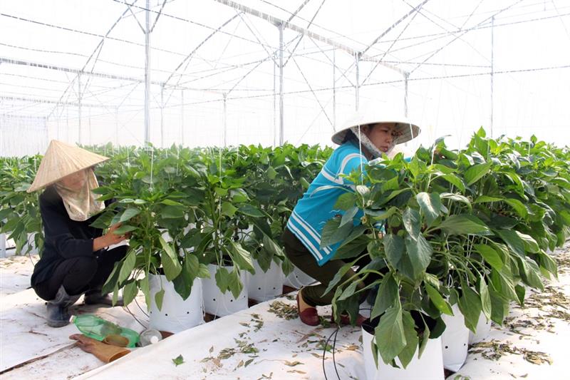Thời gian qua, người dân trên địa bàn xã Bình Thạnh đã tích cực hưởng ứng các phong trào thi đua yêu nước do UBMTTQ xã phát động. Ảnh: T.Vũ